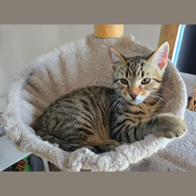 Photo of Charles