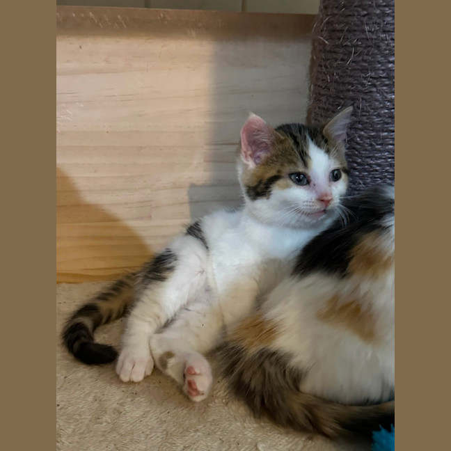 Photo of Little Leah