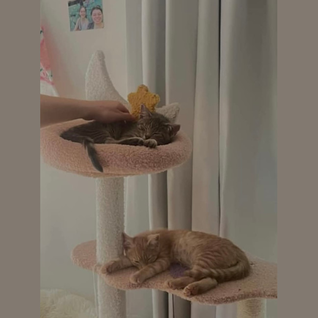 Photo of Pumpkin & Malcolm