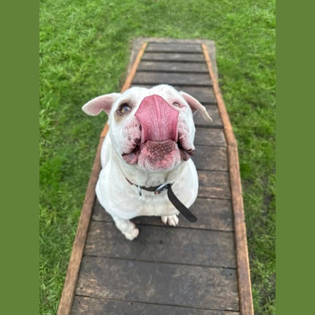 Photo of Jax