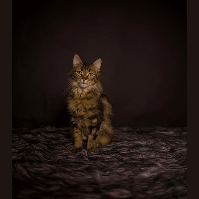 Photo of Bella