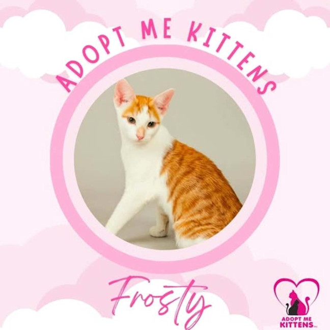 Photo of Frosty