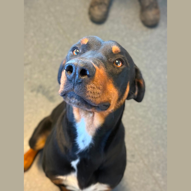 Photo of Smiley Pete