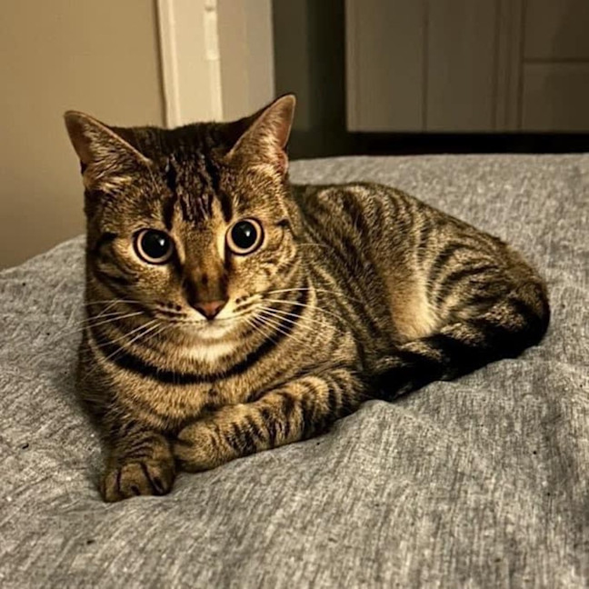 Photo of 6180   Zoya