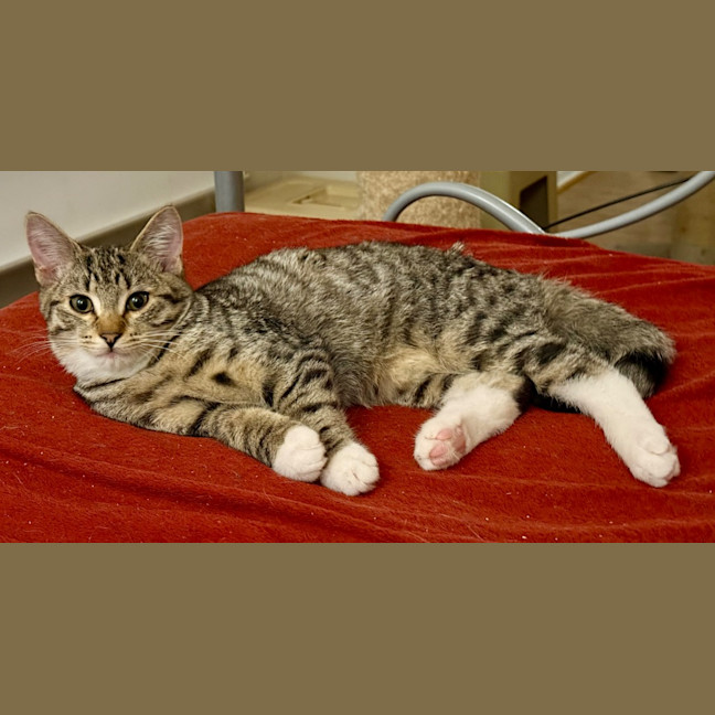 Photo of Sheldon Six