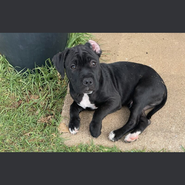 Photo of Zeus