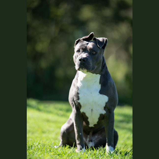 Photo of Ghost