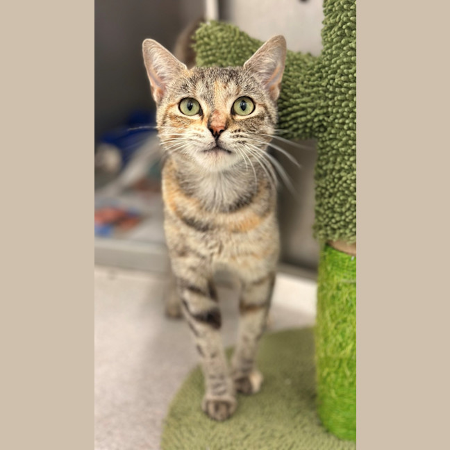 Photo of Sally