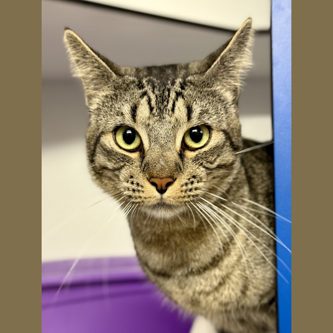 Photo of Gary The Snail