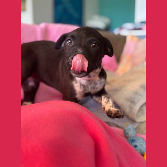 Photo of Cora