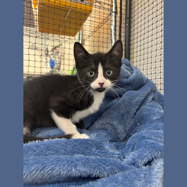 Photo of Stu Lou Who