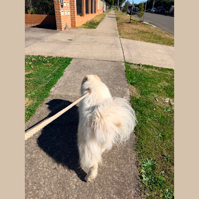 Photo of Luna