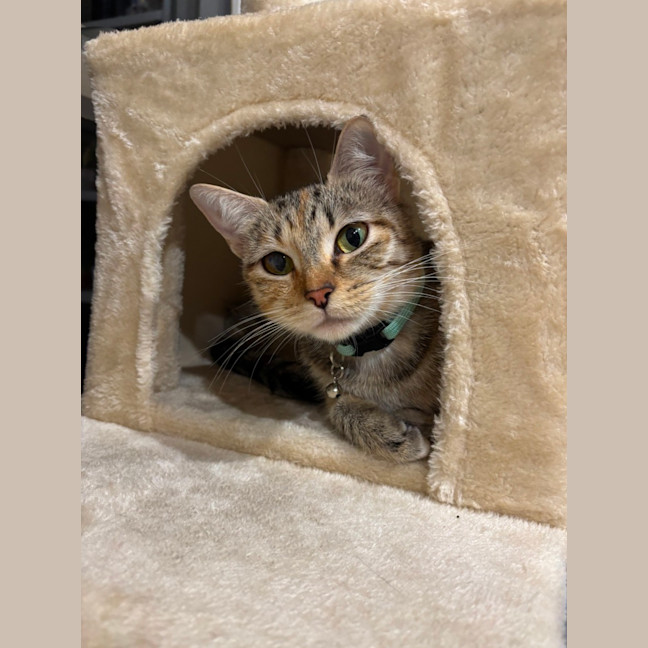 Photo of Bridgette 
