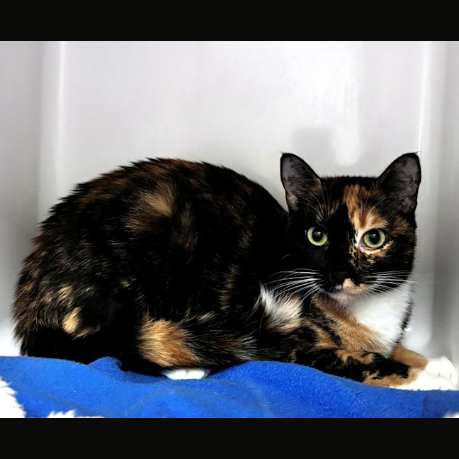 Photo of Junie Rstk013767