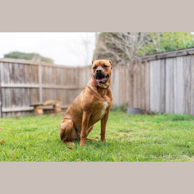 Photo of Skye Peggotty