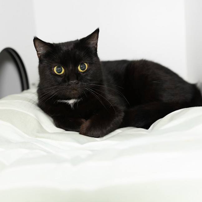 Photo of Fiona