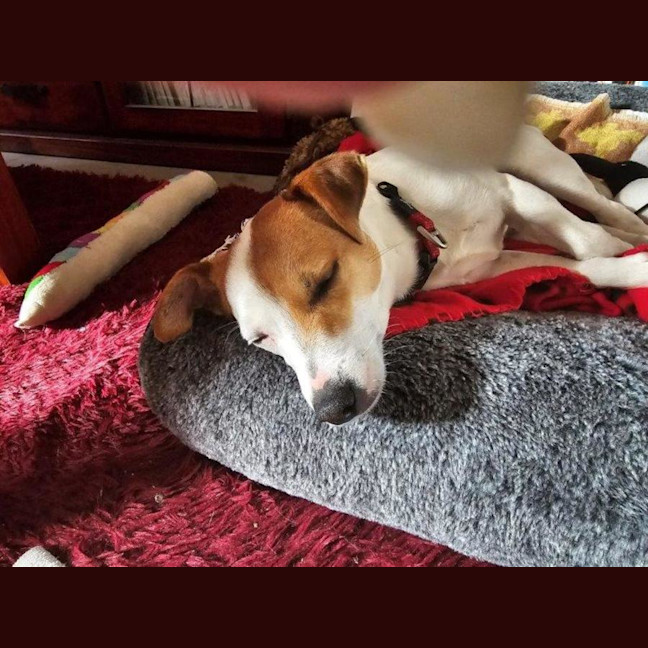 Photo of Jacky Chan Peggotty