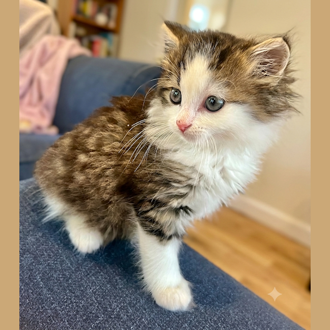 Photo of Moo