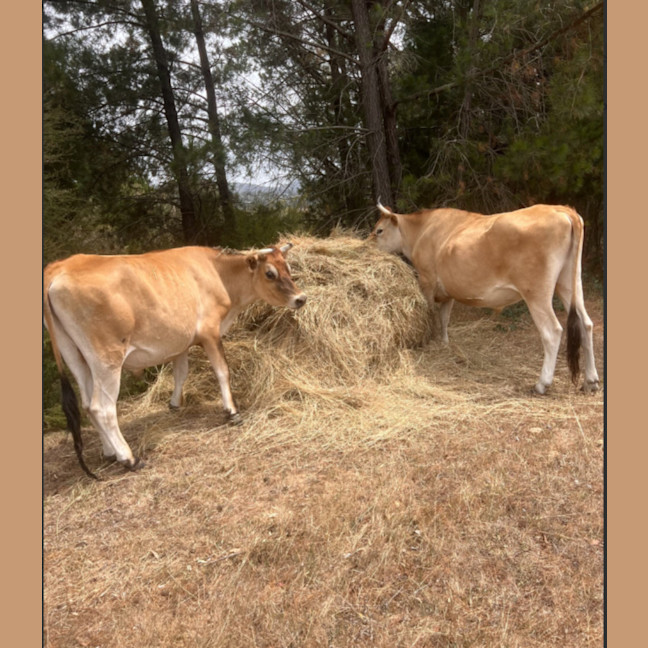 Photo of Wilson And Greg