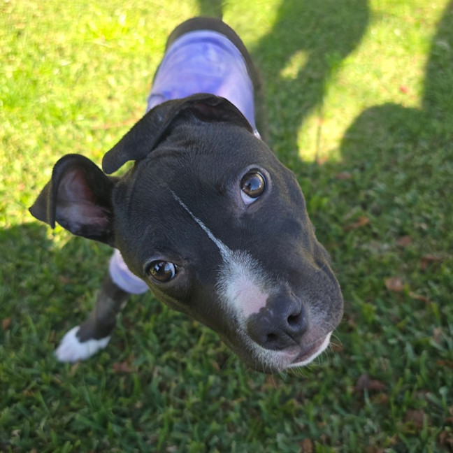 Photo of Zara