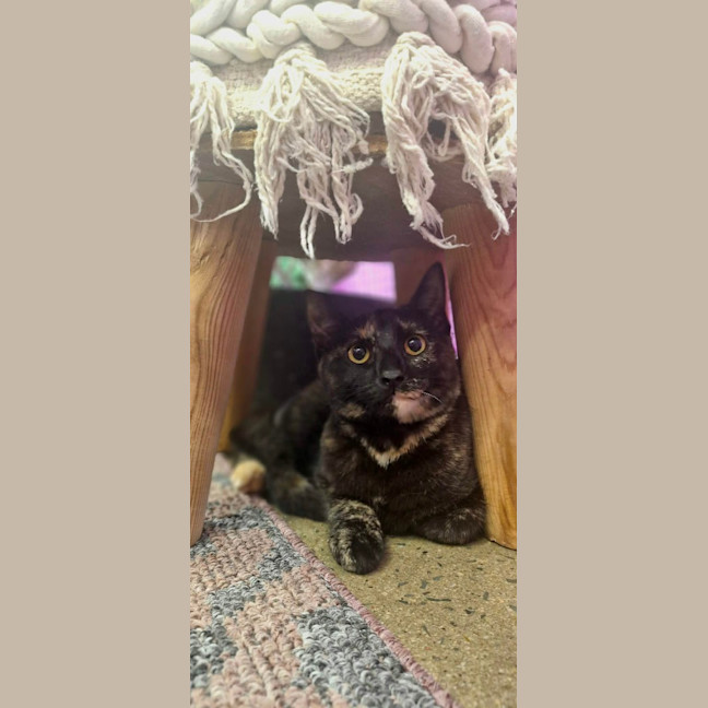 Photo of Willa