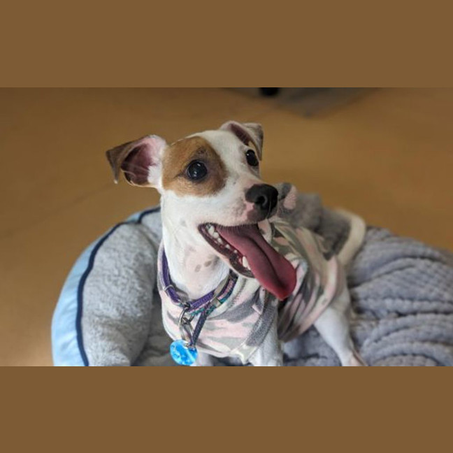Photo of Emmie