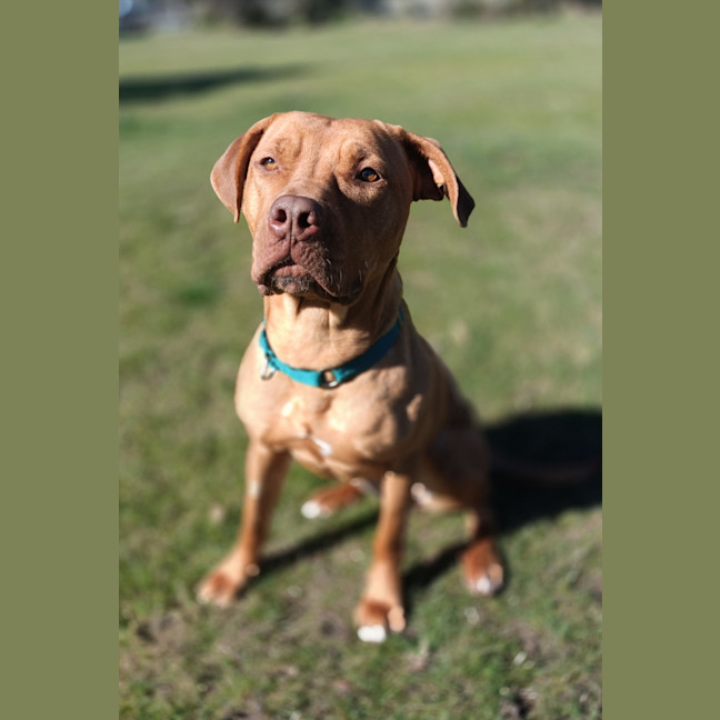 Photo of Angel