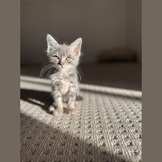 Photo of Bertie