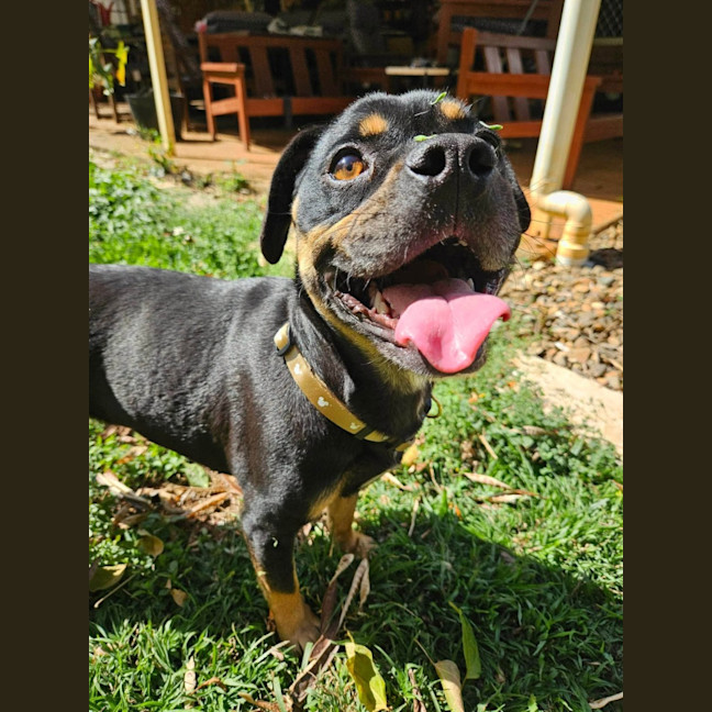 Photo of Emmy 