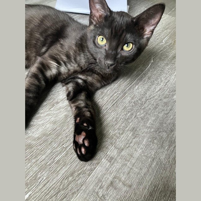 Photo of Monte ❤️