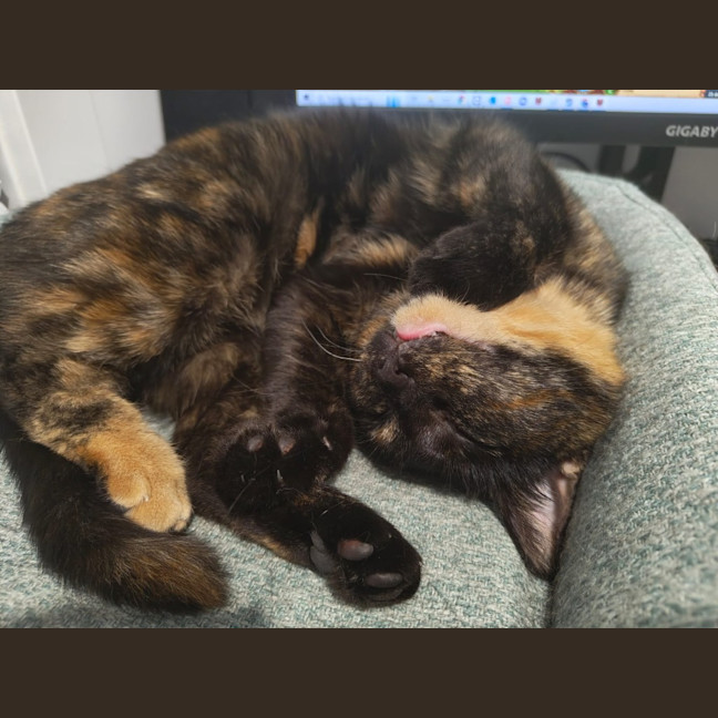 Photo of Hera