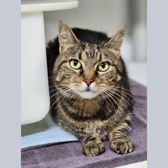 Photo of 🛝 Derek 6784 🛝