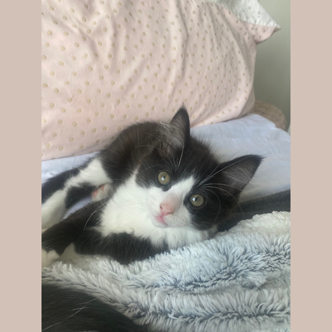 Photo of Bear Sanderson