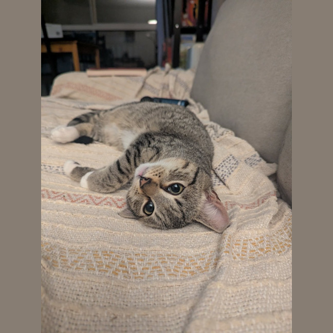 Photo of Artemis