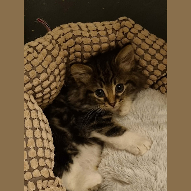 Photo of Betty 