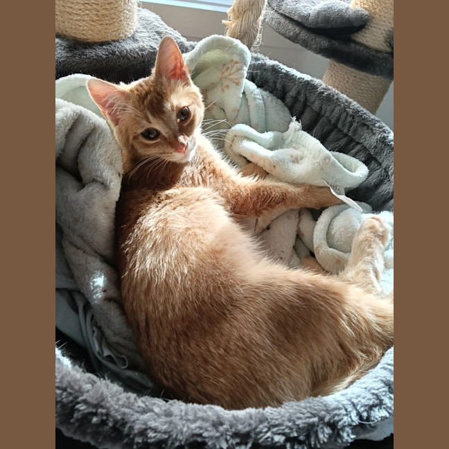 Photo of Alpine