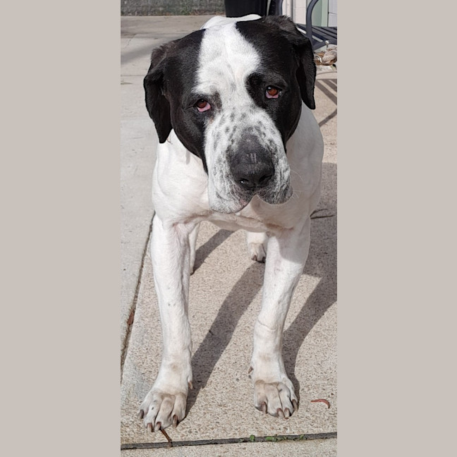 Photo of Xena