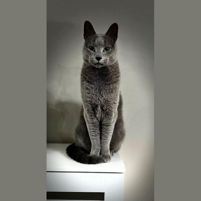 Photo of Jasper