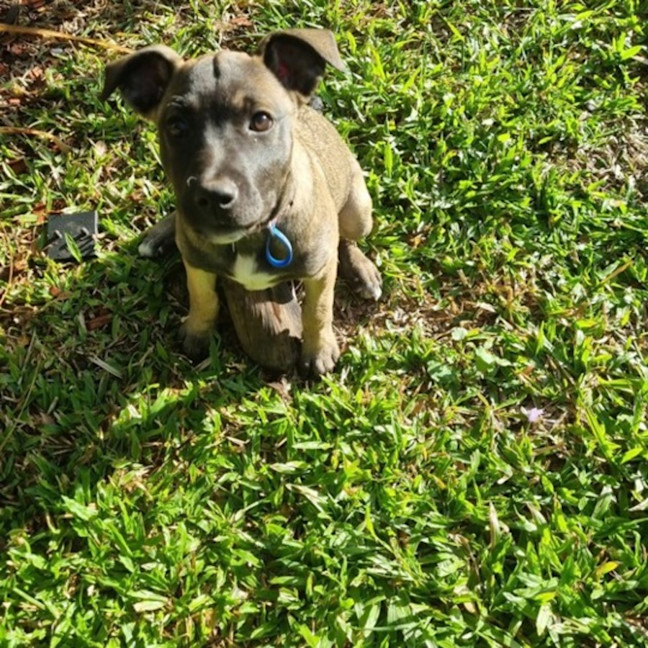 Photo of Elsie