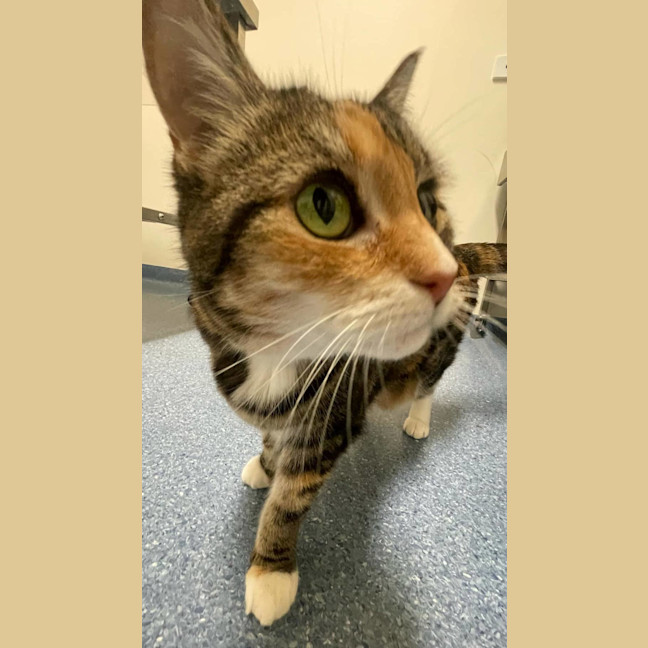 Photo of Dorothy