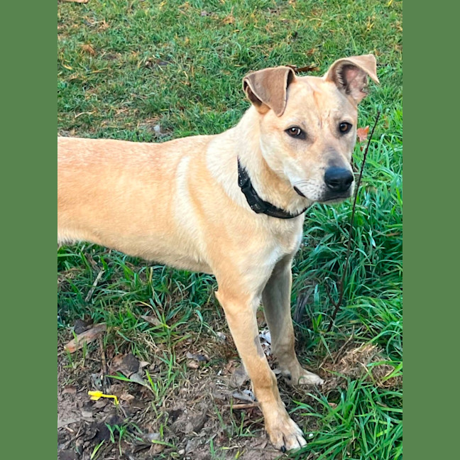 Photo of Ernie