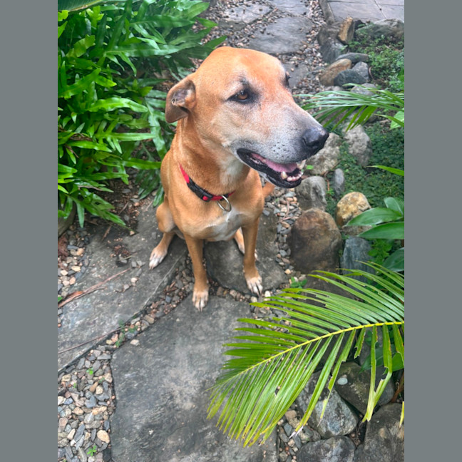Photo of Delilah
