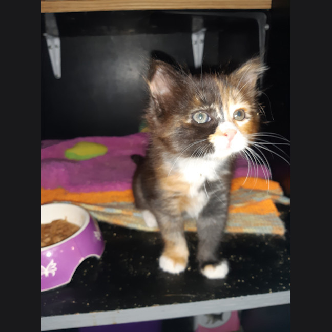 Photo of Purty&Precious