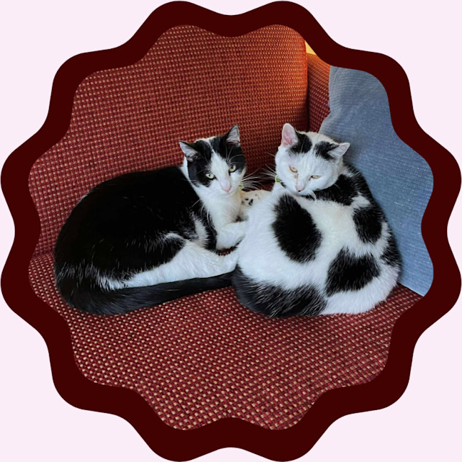 Photo of Maisie & Moo 🐄