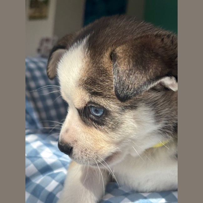 Photo of Charlie