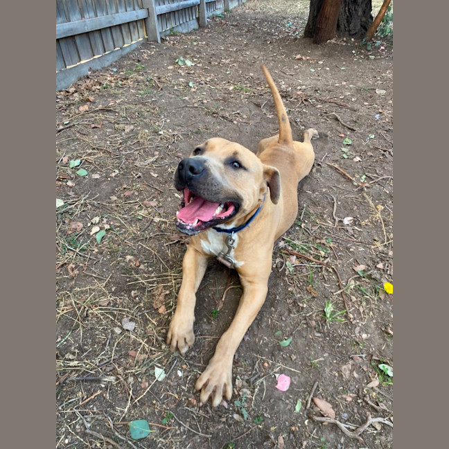 Photo of Homer
