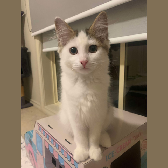 Photo of Bonnie 
