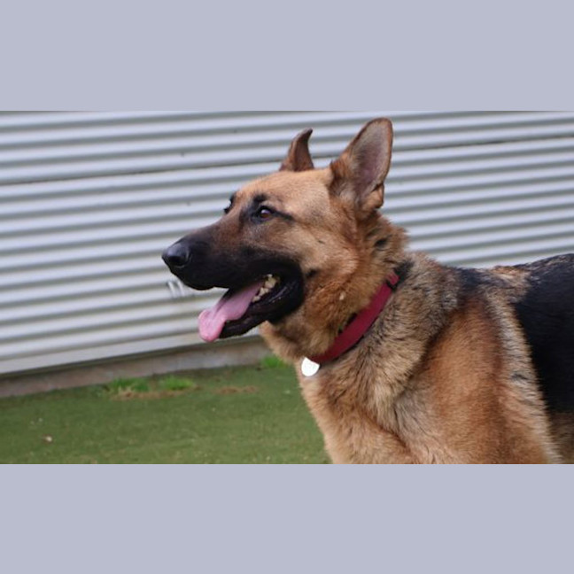 Photo of Agatha