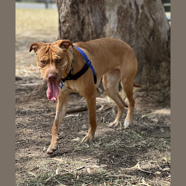 Photo of Ember