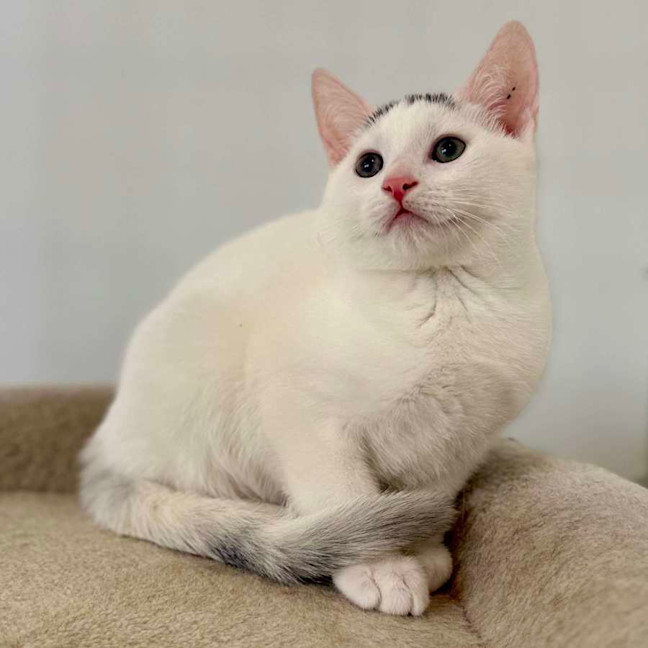 Photo of Tucker   Located In Preston